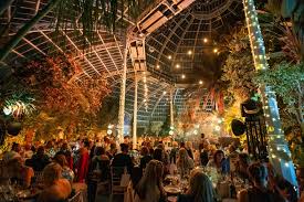 Celebrity & Live Shows